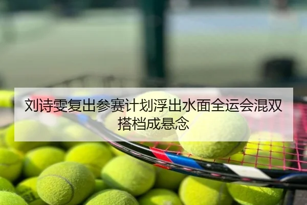 刘诗雯复出参赛计划浮出水面全运会混双搭档成悬念
